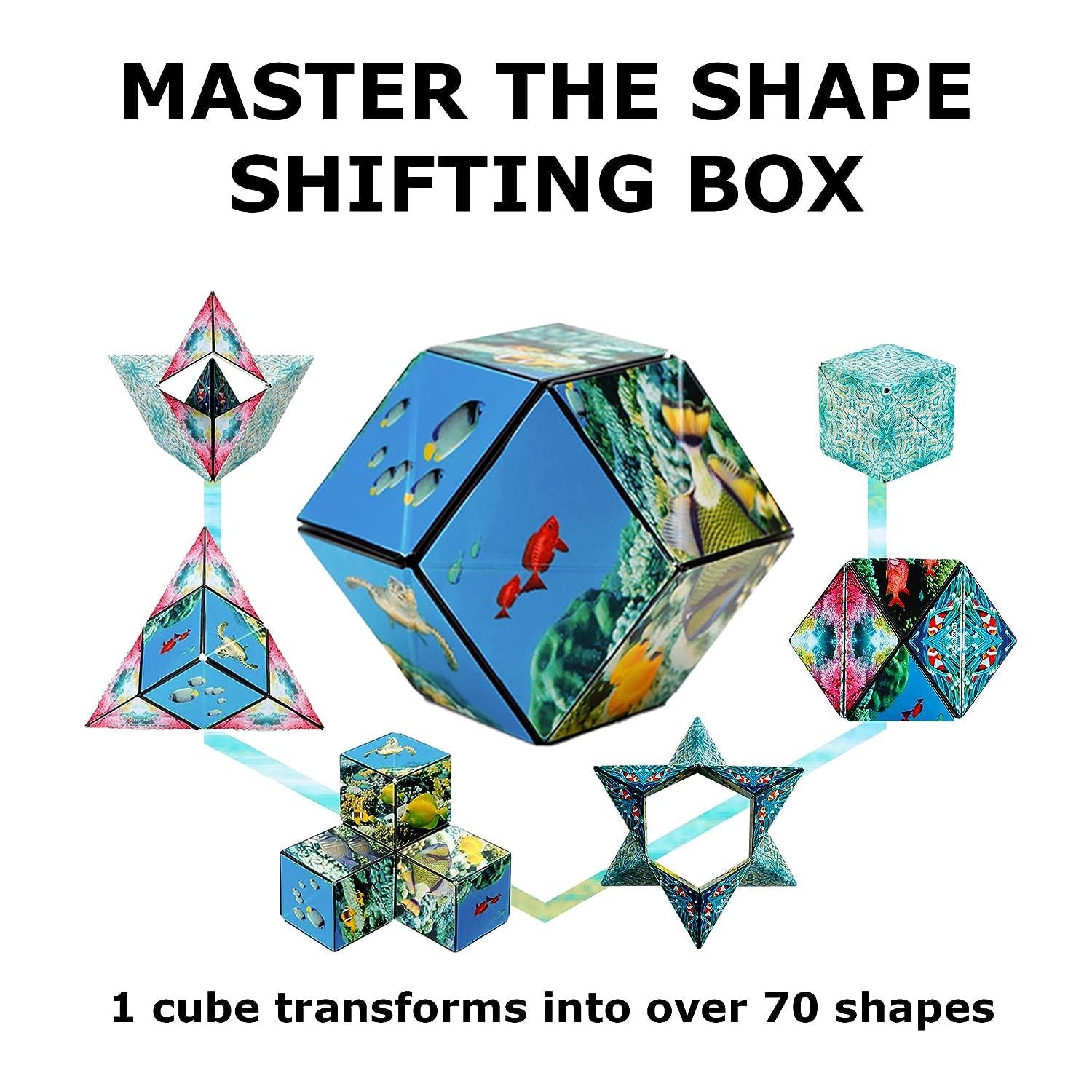 Magnetic Shape Shifting Box - FabricFlair
